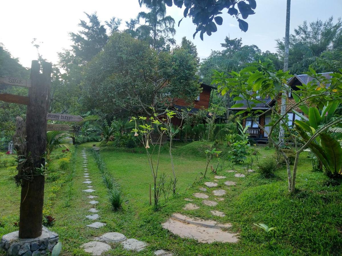 Canyon Jungle Stay Bukittinggi Exterior foto
