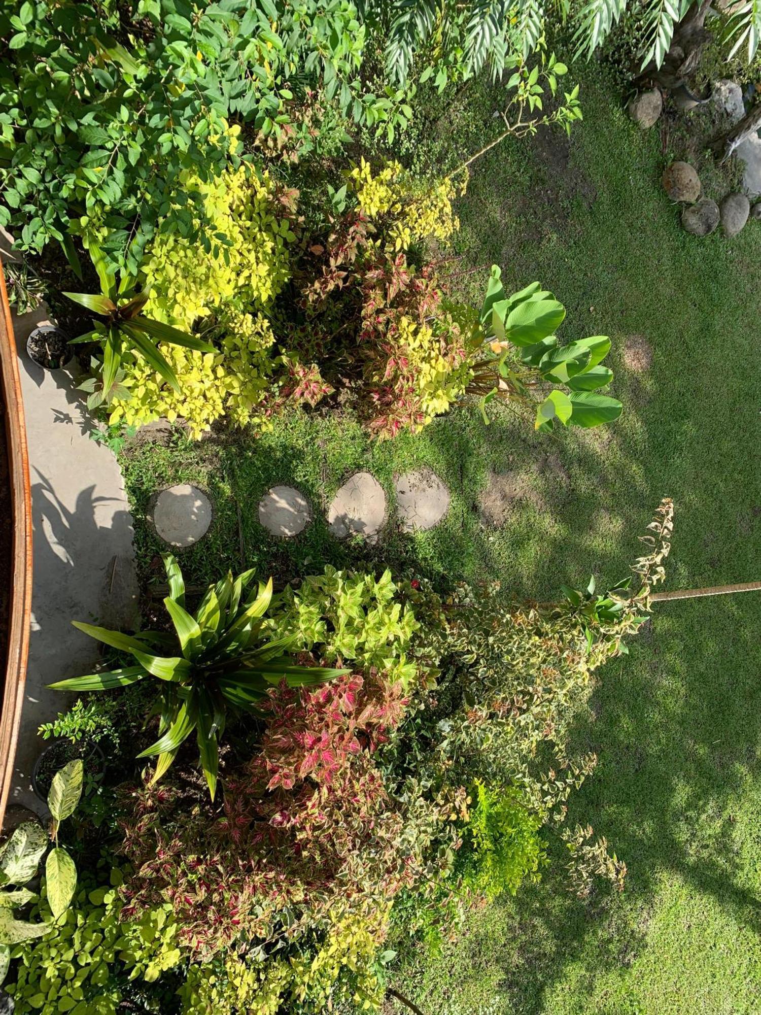 Canyon Jungle Stay Bukittinggi Exterior foto
